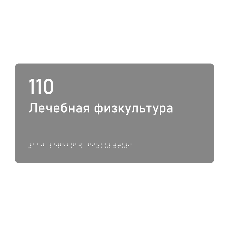Тактильная табличка «110 Лечебная физкультура» со шрифтом Брайля, 300×150 мм — тактильная табличка со шрифтом Брайля, 300×100 мм, ГОСТ Р 59602-2021