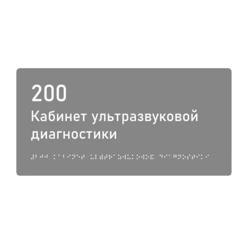 Тактильная табличка «200 Кабинет ультразвуковой диагностики» со шрифтом Брайля, 300×150 мм — тактильная табличка со шрифтом Брайля, 300×100 мм, ГОСТ Р 59602-2021