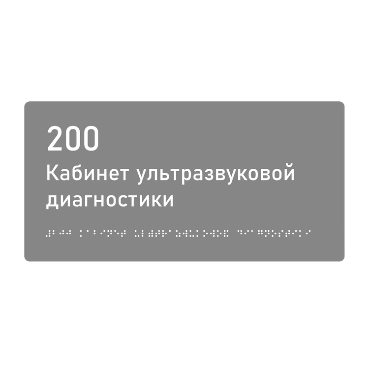 Тактильная табличка «200 Кабинет ультразвуковой диагностики» со шрифтом Брайля, 300×150 мм — тактильная табличка со шрифтом Брайля, 300×100 мм, ГОСТ Р 59602-2021