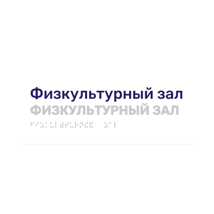 Тактильная табличка «Физкультурный зал» со шрифтом Брайля, 250×100 мм, белая, синее наименование, рельеф в цвет подложки