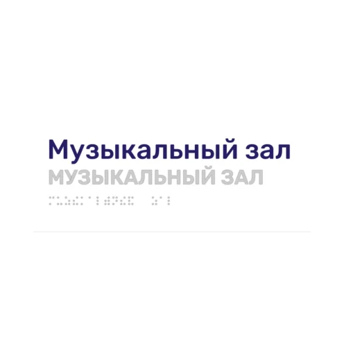 Тактильная табличка «Музыкальный зал» со шрифтом Брайля, 250×100 мм, белая, синее наименование, рельеф в цвет подложки