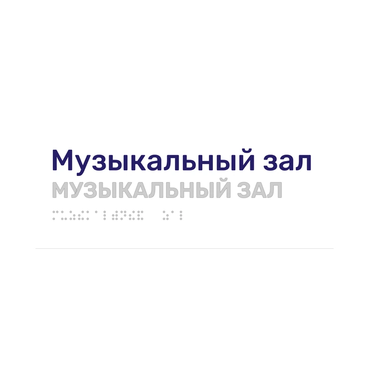Тактильная табличка «Музыкальный зал» со шрифтом Брайля, 250×100 мм, белая, синее наименование, рельеф в цвет подложки